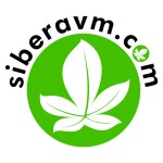 siber avm